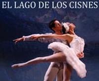 The Swan Lake show poster