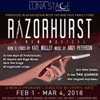 Razorhurst by Kate Mulley and Andy Peterson show poster