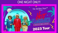 Hot Flashbacks show poster