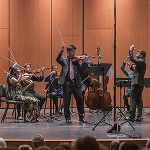 Complete Brandenburg Concertos - Part II