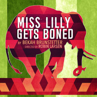 Miss Lilly Gets Boned show poster