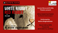 White Rabbit Red Rabbit show poster