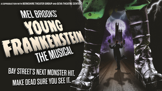 Mel Brooks' Young Frankenstein in 