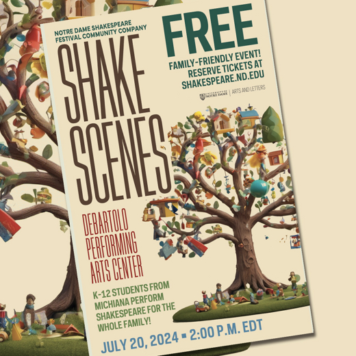ShakeScenes show poster