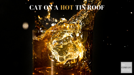 CAT ON A HOT TIN ROOF show poster