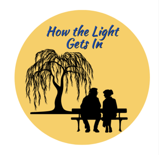 How the Light Gets In show poster