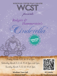 Cinderella: Youth Edition show poster