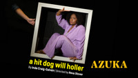 a hit dog will holler show poster
