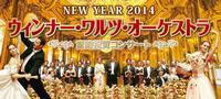 Vienna Walzer Orchestra New Year Concert 2014 show poster