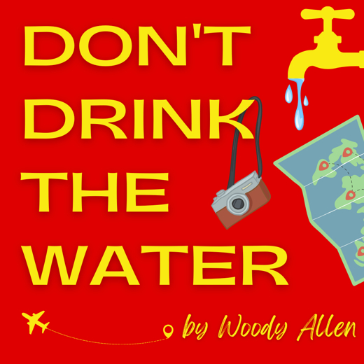 Don't Drink the Water by Woody Allen show poster