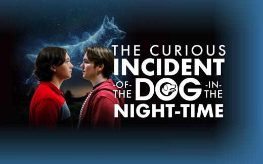 The Curious Incident of The Dog In The Night-Time