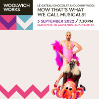 NOW THAT’S WHAT WE CALL MUSICALS! show poster