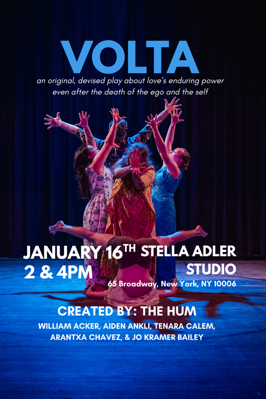 VOLTA show poster