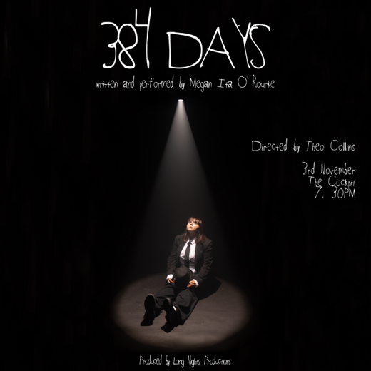 384 Days show poster