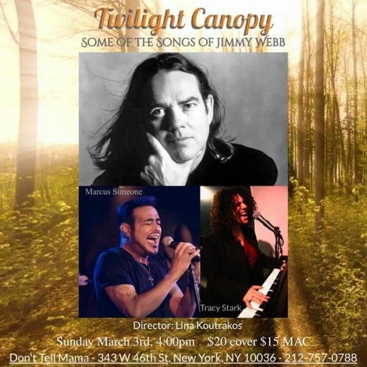 Marcus Simeone & Tracy Stark: Twilight Canopy / Up, Up and Away in Cabaret