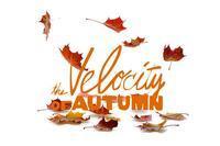 The Velocity of Autumn show poster