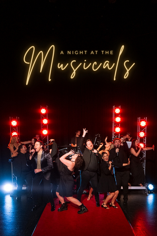 A Night At The Musicals show poster