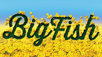 BIG FISH Mainstage at Upper Darby Summer Stage