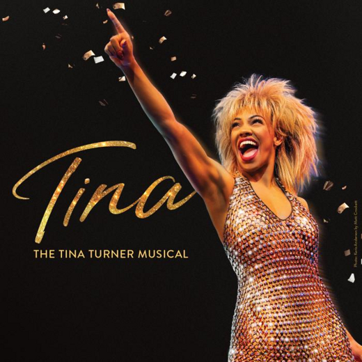 TINA—The Tina Turner Musical in Michigan