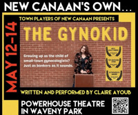 THE GYNOKID by CLAIRE AYOUB