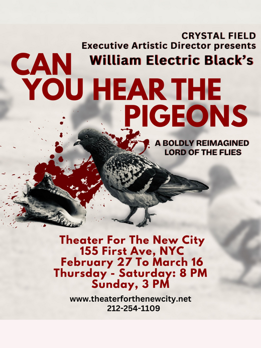 Can You Hear The Pigeons show poster