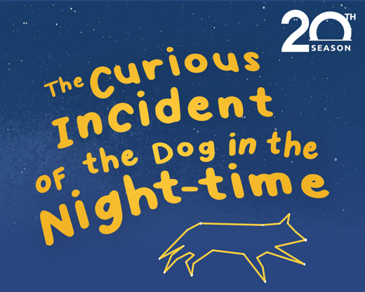 The Curious Incident of the Dog in the Night-Time