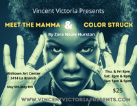 Color Struck/Meet the Mamma show poster