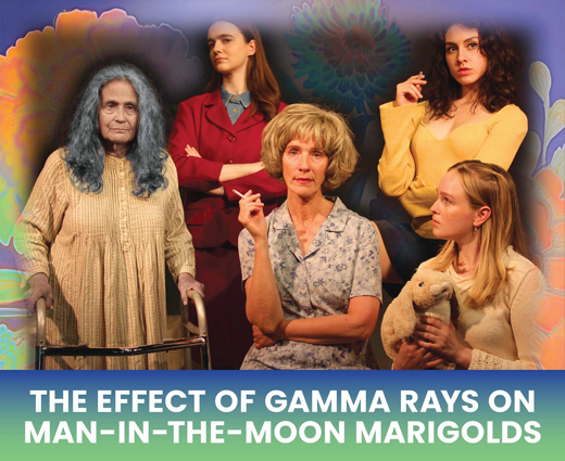 THE EFFECT OF GAMMA RAYS ON MAN-IN-THE-MOON MARIGOLDS