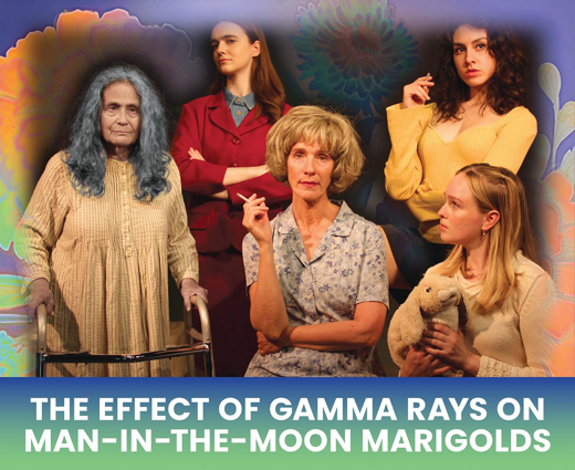 THE EFFECT OF GAMMA RAYS ON MAN-IN-THE-MOON MARIGOLDS show poster