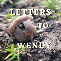 Letters to Wendy