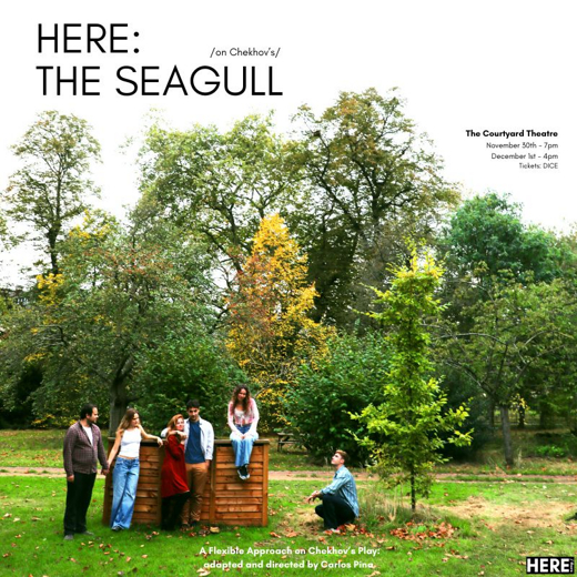 Here: The Seagull