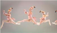 Ballet Toybox show poster