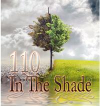 110 In The Shade show poster