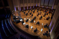 In Focus: Dance & Drama