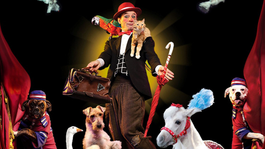 Popovich Comedy Pet Theater
