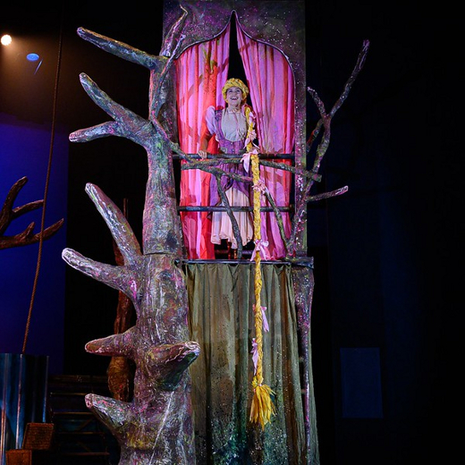 Theater Terra: Rapunzel the Musical show poster