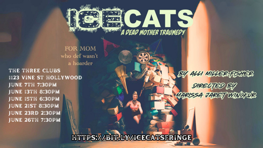 Ice Cats show poster