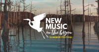 New Music On The Bayou 2021 Summer Festival show poster