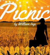 PICNIC show poster