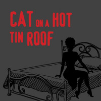Cat On a Hot Tin Roof in Charlotte