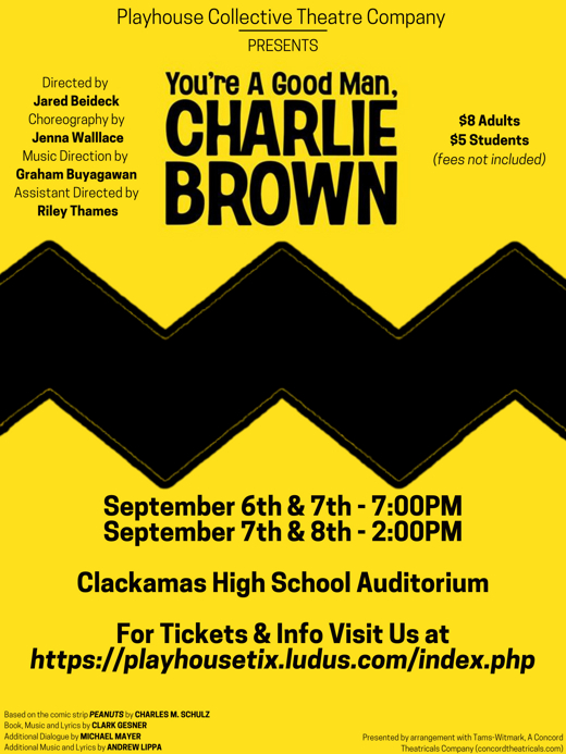 You’re a Good Man Charlie Brown show poster