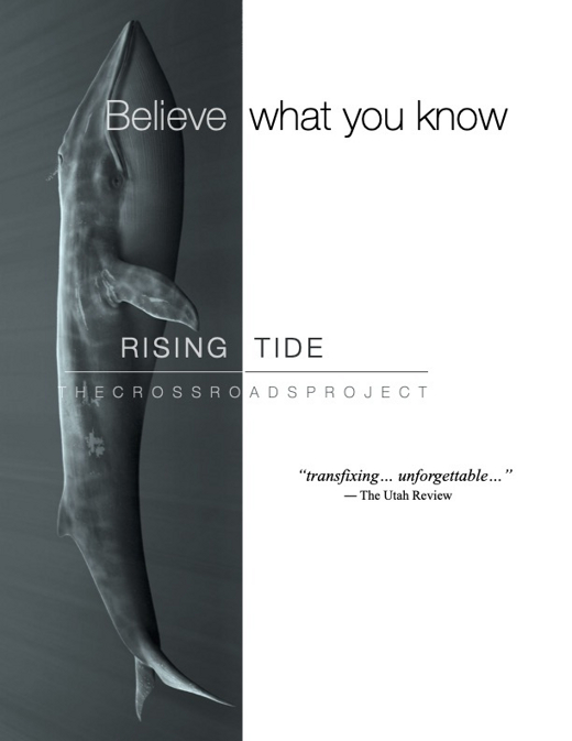 Rising Tide: The Crossroads Project show poster