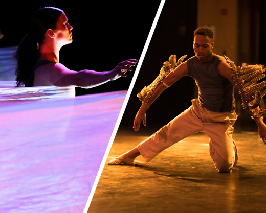 Nimbus Dance & NJ Symphony Present Firebird and Dark Water in New Jersey