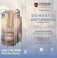 Domestic Disturbance show poster