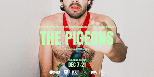 The Pigeons show poster