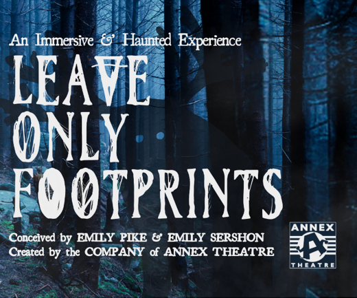 Leave Only Footprints show poster