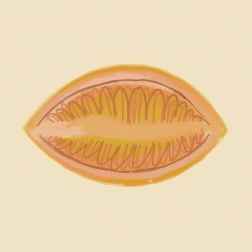 Bitter Visions: By Order of Hildegard