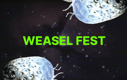 Brooklyn College's Weasel Festival