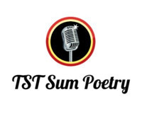 Towne Street Theatre's TST Summer Series Presents: Nights of Sum Poetry! 