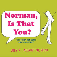 Norman, Is That You? show poster